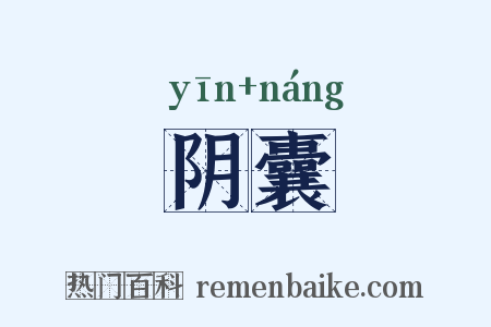 阴囊是什么意思的图片